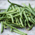 Bean Bush "Strike"