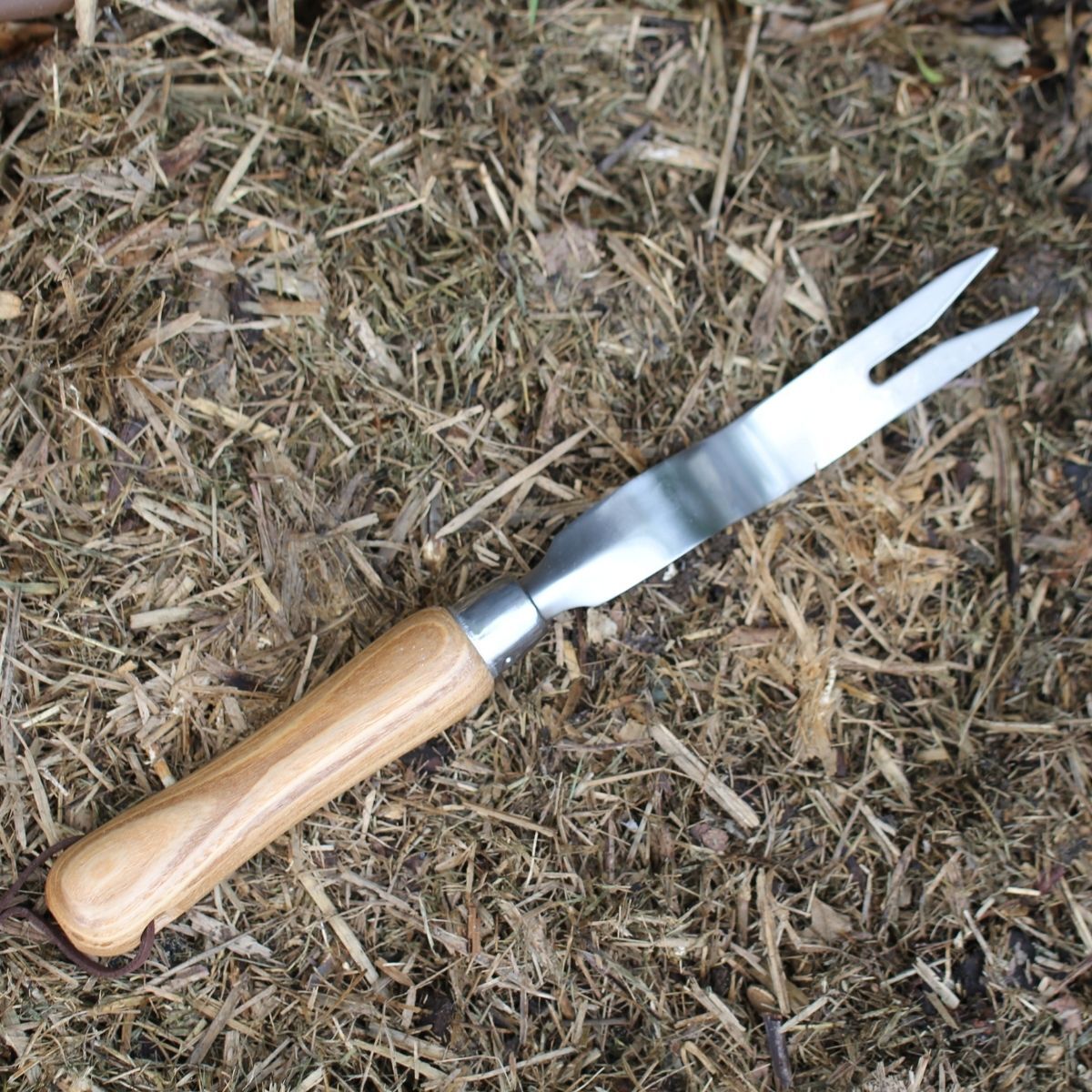 Stainless Steel Garden Weeder